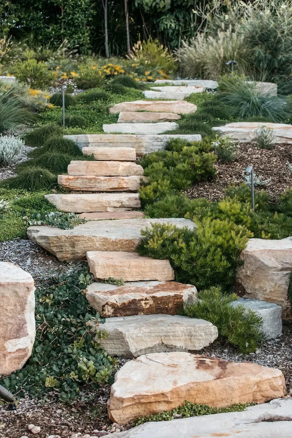 Stone stairway winding up through fynbos